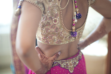 Indian Wedding Reception Sari