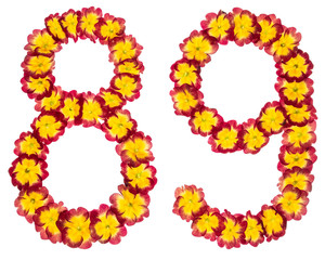 Numeral 89, eighty nine, from natural flowers of primula, isolated on white background