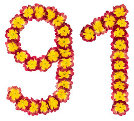 Numeral 91, ninety one, from natural flowers of primula, isolated on white background