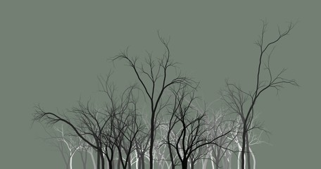 Black tree silhouettes on a dark background. wallpaper background abstract