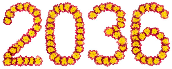 Inscription 2036, from natural flowers of primula, isolated on white background