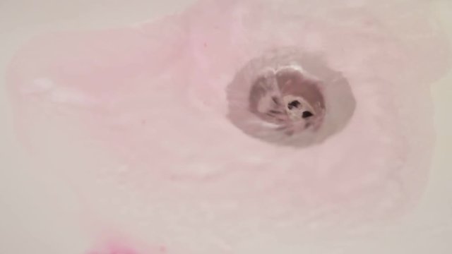 Blood flows into the hole of the shell