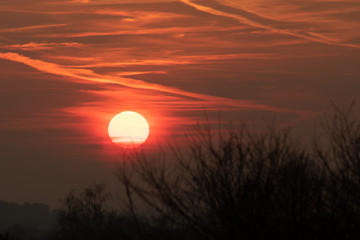 Orange & Teal Landschaft