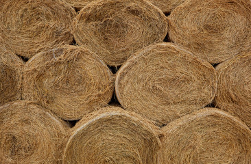 straw bale texture