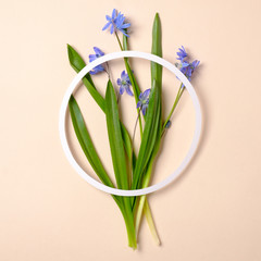 Spring flowers concept. Bouquet of tender flowers and circle shape made from paper on pastel beige background. Creative minimalistic composition, flat lay style. Top view.