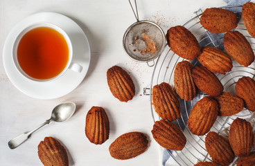 Chocolate Madeleine. French Madeleine