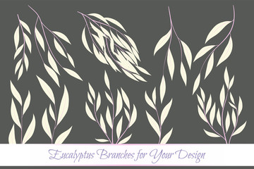 Rustic Decorative Plants Collection. Hand Drawn Eucalyptus Leaves Isolated. Vector EPS10 Illustration. Botanical Elements. Exotic Tropical Foliage and Flowers. Decorative Plants Set for Wedding Design