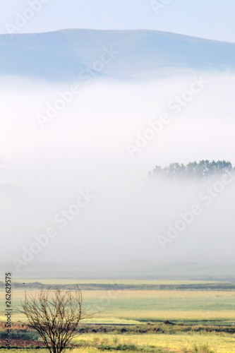 Foggy Nature Landscape Foggy Fields Background Stock
