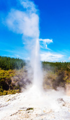 Lady Knox Geyser on the North Island in Wai-O-Tapu, Rotorua, New Zealand. Vertical
