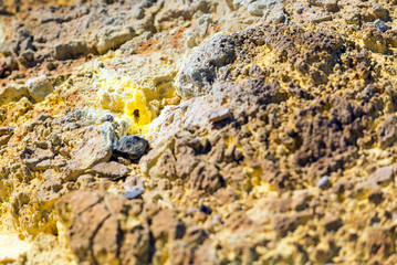 Ground texture in Wai-O-Tapu geothermal area, Rotorua, New Zealand. Close-up.