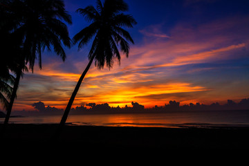 Sunrise wiht shadow coconut on beach