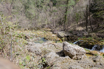 Close-up of river in the nature