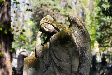 The Angel from the mystery old Prague Cemetery, Czech Republic