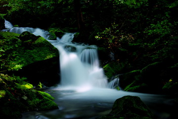 Fototapeta premium MOSSY VALLEY IN KOREA