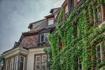 Dieses einzigartige Foto zeigt einen sehr kleinen, sehr romantischen Balkon auf einem alten Haus, das komplett mit Efeu bedeckt ist. Das Foto wurde in Straßburg aufgenommen