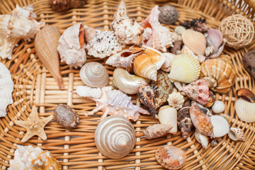 Close up Various shape seashells on woven wicker texture in selective focus.