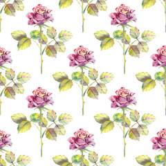 Seamless pattern. Dark rose flowers, green leaves. Flower poster, invitation. Watercolor compositions for greeting card or invitation design.