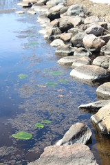 stones in the water