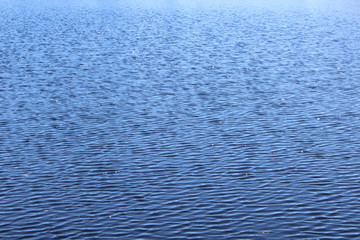 ripples on surface of water