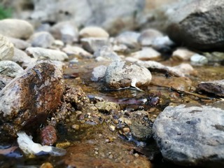 Rocas