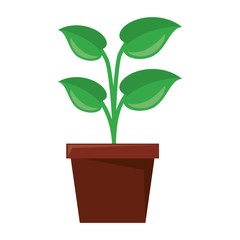 Plant pot cartoon isolated