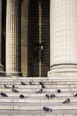 Columns of the temple and pigeons sitting on the steps against the statue