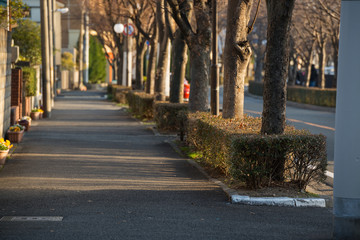 夕方の宮川地蔵通り