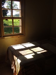 Window sunlight