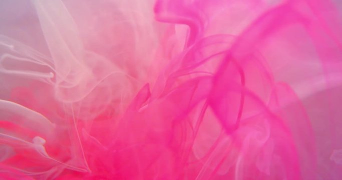 Colourful Pink and White Paint  Threads and Drops Mixing in Water. Ink swirling. Underwater 4K Macro Shot.