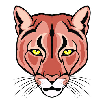 Vector Illustration Mascot Image of a Mountain Lion Head