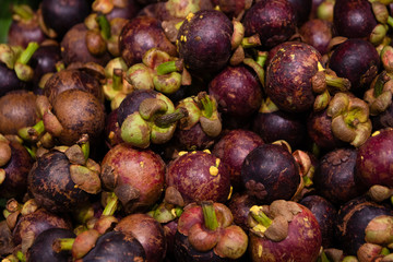 A pile of mangosteen in fresh market