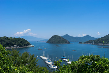 Fototapeta premium 長浜城跡から見た内浦湾の眺め