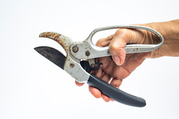 Senior Woman's right hand using garden secateurs, for cutting tree branches isolated on white...