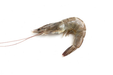 fresh shrimp isolated on white background