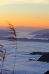 Landscape of Sea of Mist at -Phucheefa Mountain in the early morning at Chiangrai province Thailand.