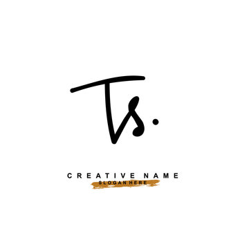 T S TS Initial logo template vector