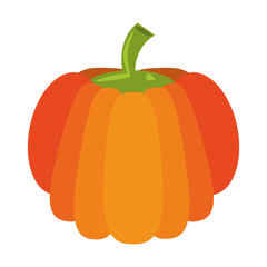 Pumpkin fresh vegetable