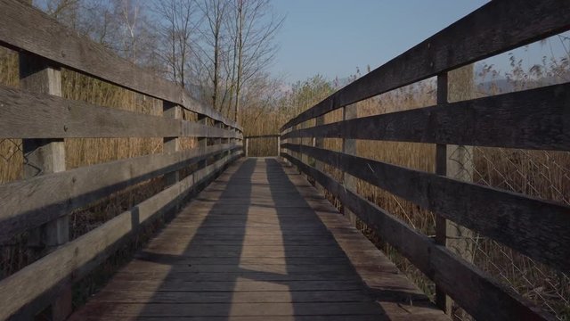 Crossing a wooden bridge in a nature reserve