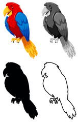 Set of parrot character
