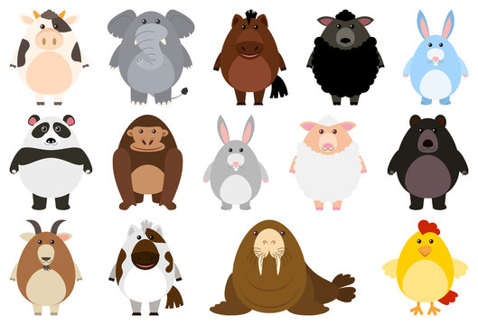 Set of cartoon animal