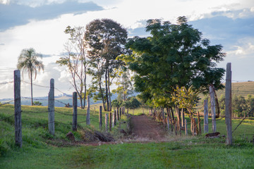 arvores estradas e pastagens de fazenda rural