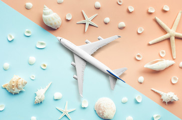Fototapeta na wymiar Mock up plane,airplane on sea beach and shell fish background.Trip journey and holiday summer concepts
