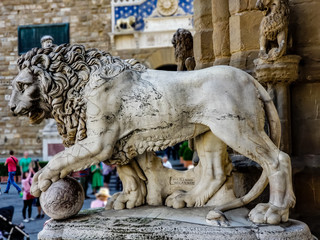 Lion from Florence