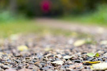 Orange autumn and spring