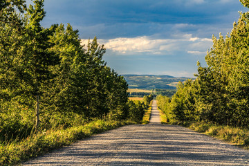 Home Oil Road Near John Ware Ridge