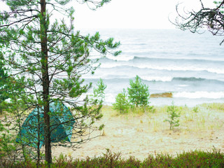 the tent stands on the shore of forest lake
