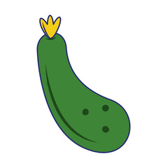 zucchini fresh vegetable blue lines