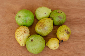 Guava Species Mix