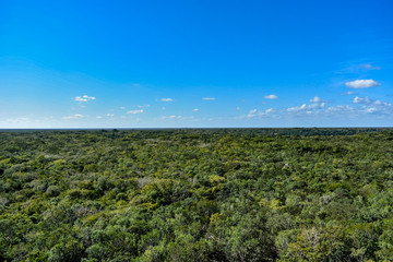 Landscape of Yucatan Peninsula