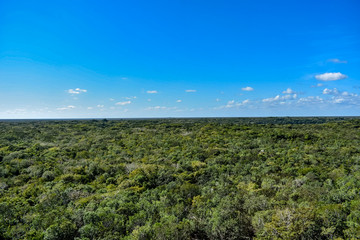 Landscape of Yucatan Peninsula